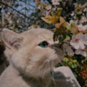 Meet your Posher, Lilliana